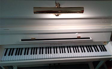 Piano Rippen
